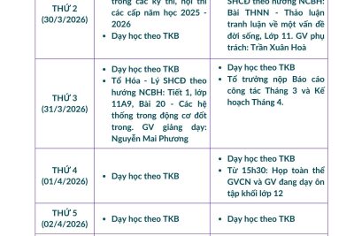 Kế hoạch Tuần 28